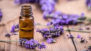 aromatherapy for pain, essential oils for mood